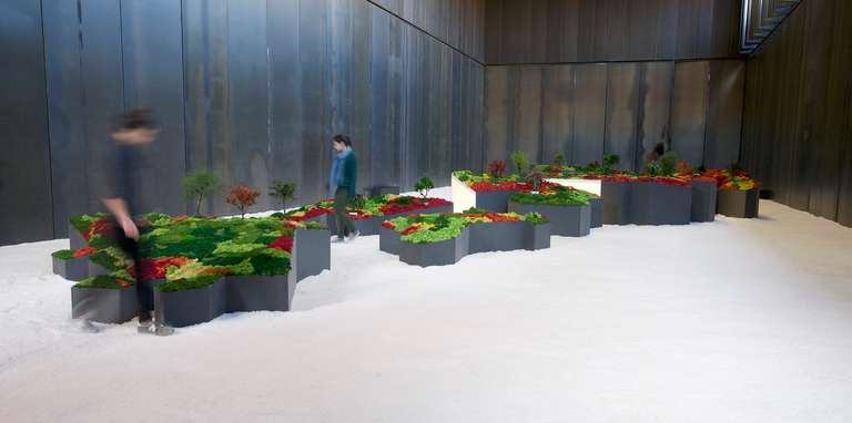 Jardín Japonés :: Topografías del Vacío © 2014. Elementos vegetales liofilizados y preservados, fibra madera, metacrilato, leds, sal. 1200 x 3600 x 140 cm.