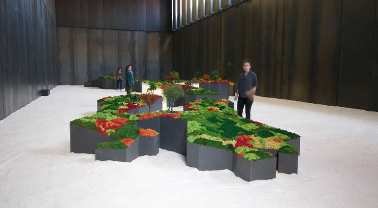 Jardín Japonés :: Topografías del Vacío © 2014. Elementos vegetales liofilizados y preservados, fibra madera, metacrilato, leds, sal. 1200 x 3600 x 140 cm.