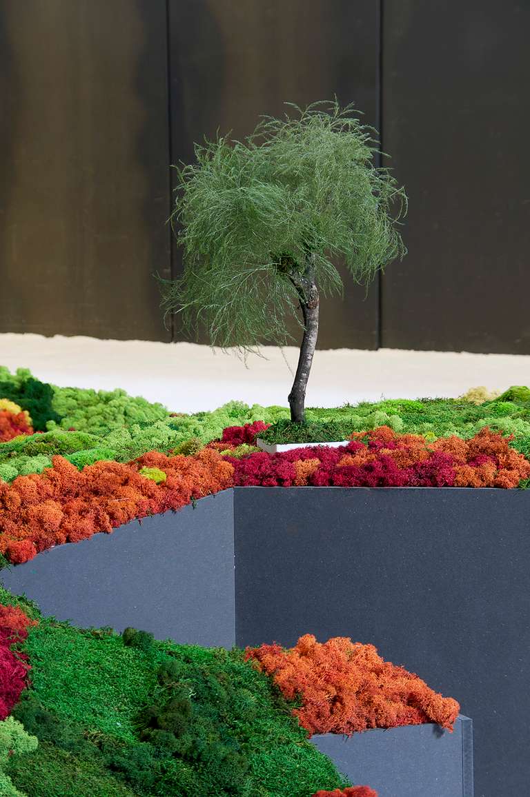 Jardín Japonés :: Topografías del Vacío © 2014. Elementos vegetales liofilizados y preservados, fibra madera, metacrilato, leds, sal. 1200 x 3600 x 140 cm.