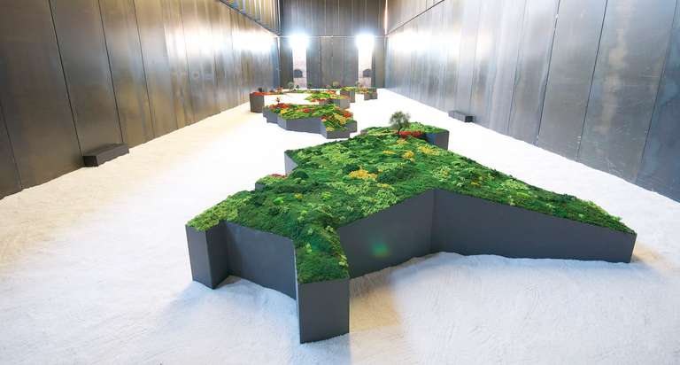 Jardín Japonés :: Topografías del Vacío © 2014. Elementos vegetales liofilizados y preservados, fibra madera, metacrilato, leds, sal. 1200 x 3600 x 140 cm.