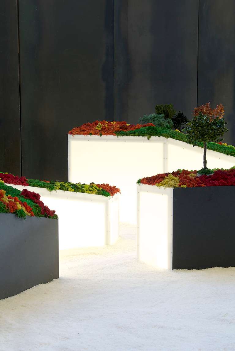 Jardín Japonés :: Topografías del Vacío © 2014. Elementos vegetales liofilizados y preservados, fibra madera, metacrilato, leds, sal. 1200 x 3600 x 140 cm.