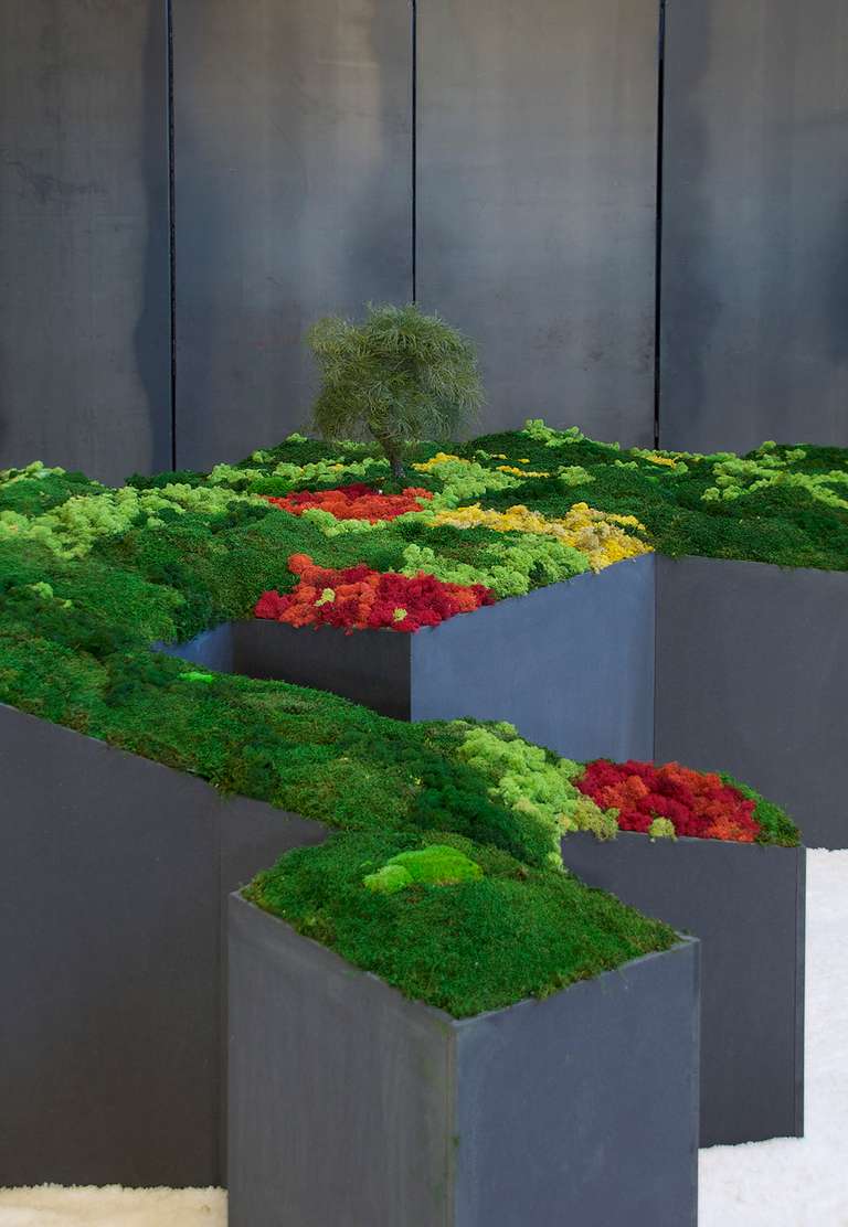 Jardín Japonés :: Topografías del Vacío © 2014. Elementos vegetales liofilizados y preservados, fibra madera, metacrilato, leds, sal. 1200 x 3600 x 140 cm.