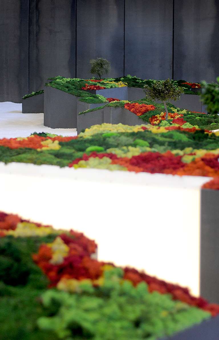 Jardín Japonés :: Topografías del Vacío © 2014. Elementos vegetales liofilizados y preservados, fibra madera, metacrilato, leds, sal. 1200 x 3600 x 140 cm.