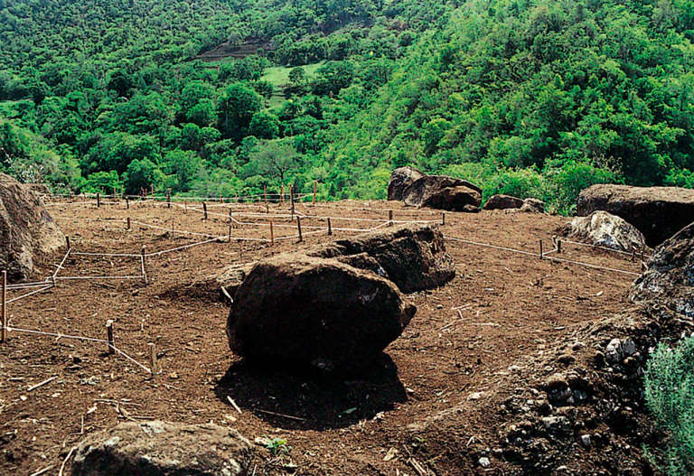 Mapa Genético ©2000. Resina de poliéster, cemento, piedras.1200 x 800 cm.