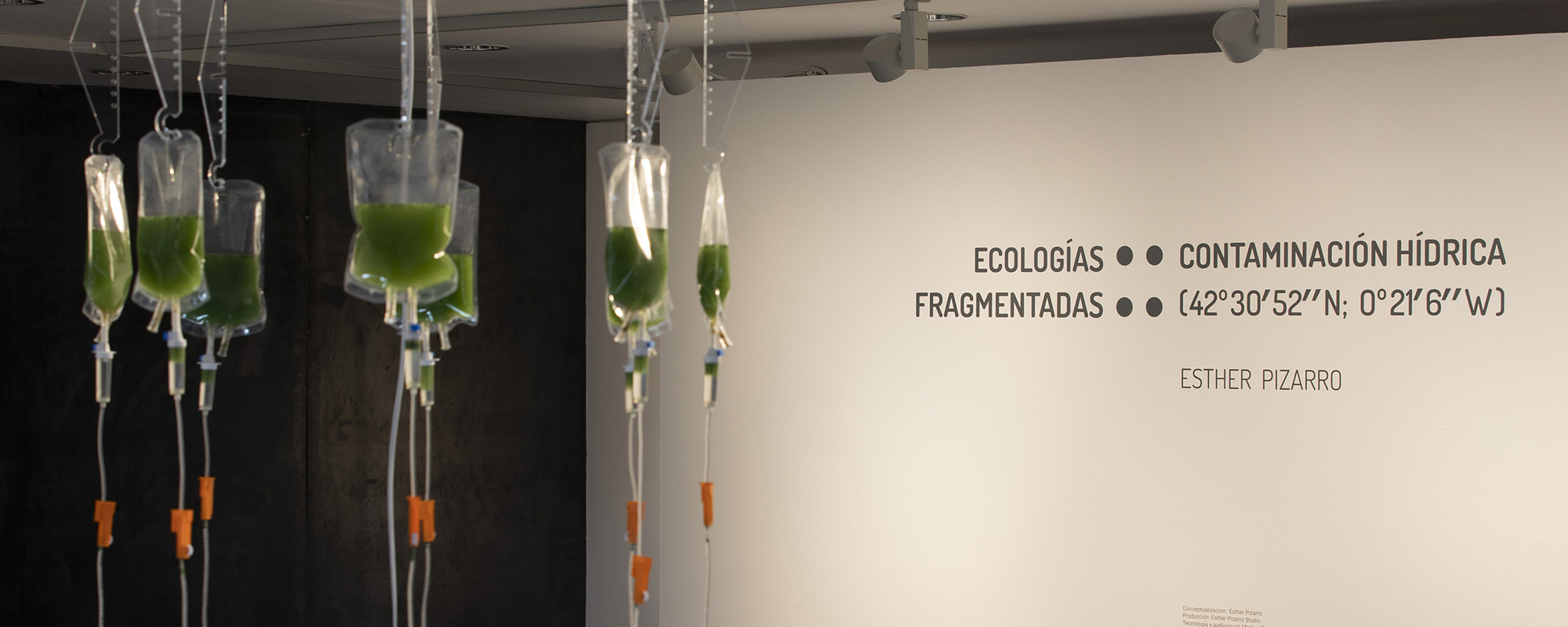 Ecologías Fragmentadas :: Contaminación Hídrica (42º30´52´´N; 0º21´6´´W) © 2023