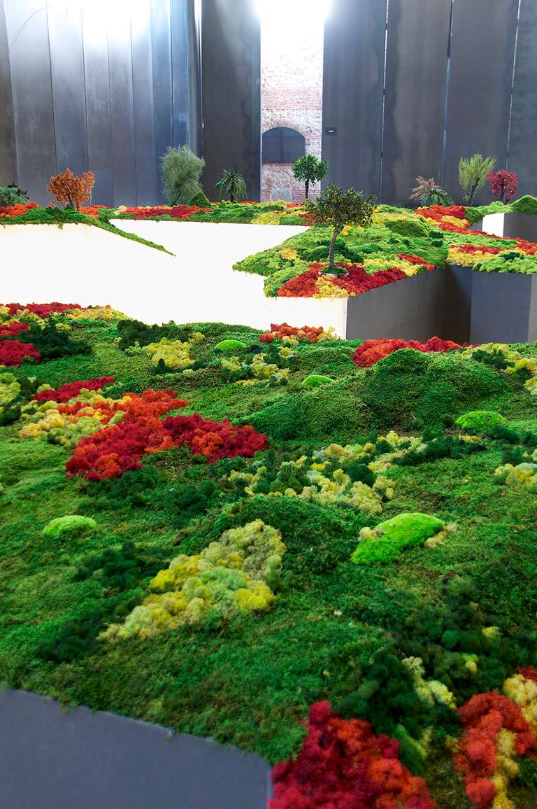 Jardín Japonés :: Topografías del Vacío © 2014. Elementos vegetales liofilizados y preservados, fibra madera, metacrilato, leds, sal. 1200 x 3600 x 140 cm.