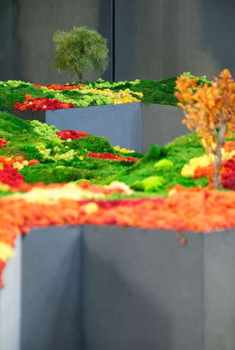Jardín Japonés :: Topografías del Vacío © 2014. Elementos vegetales liofilizados y preservados, fibra madera, metacrilato, leds, sal. 1200 x 3600 x 140 cm.